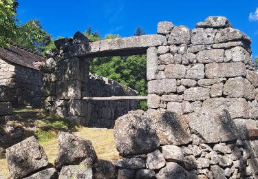 Excursión Senderismo Pont de Montvert - Sud Mont Lozère - T-Le Merlet - Photo