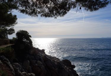 Tour Wandern Saint-Jean-Cap-Ferrat - Pointe St Hospice, tour du cap Ferrat, Isthme de St Jean - Photo