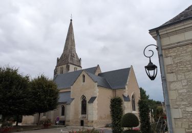 Randonnée Marche Lémeré - Lémeré le Coudray - Château du Rivau Lémeré - 11.2km 115m 2h25 - 2024 08 18 - Photo