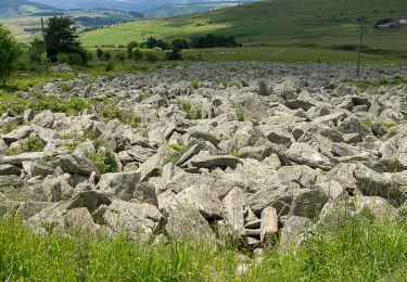 Tocht Stappen Le Béage - Le tour des cinq sucs au départ du Béage - Photo