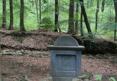 Randonnée Marche Spa - A la découverte de la Fagne de Malchamps 🥾 - Photo