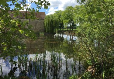 Tocht Mountainbike Gif-sur-Yvette - Port Royal- Romainville - Photo