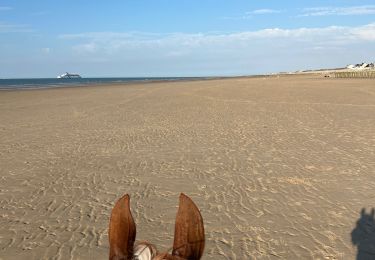 Trail Horseback riding Sangatte - Cimetière de sangatte - Photo