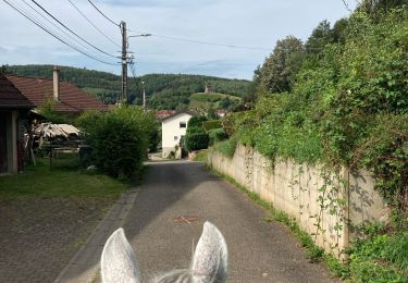 Trail Horseback riding Saint-Quirin - Vasperviller saint quirin  - Photo