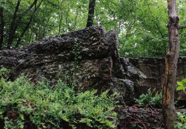 Trail Walking Profondeville - Balcon de la Grande Hulle - Photo