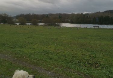 Tocht Stappen Incheville - Gamache tour de l'etang - Photo