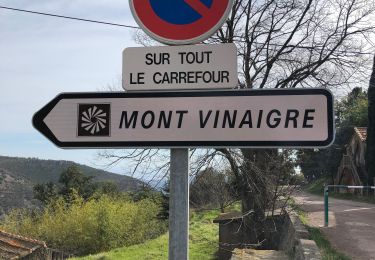 Randonnée Marche Fréjus - Le mont vinaigre - Photo