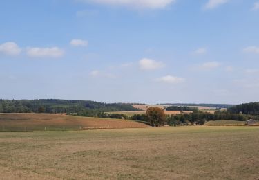 Tocht Stappen Houyet - TOUR FAMENNE JOUR 6 - Photo