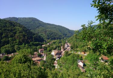 Trail Walking Ferrières-Saint-Mary - Cantal - Ferrières-Saint-Mary - Gorges de la Bouzaire - 7.7km 350m 2h50 - 2019 07 01 - Photo