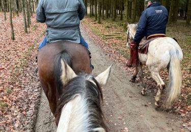 Trail Horseback riding Bastogne - Tripoux décembre 2022 - Photo