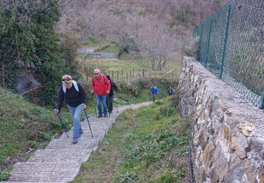 Excursión Senderismo Utelle - Chapelle Saint Antoine  - Photo