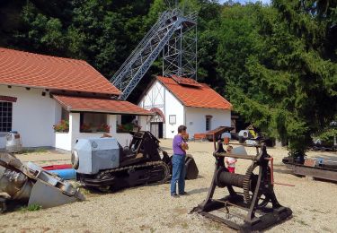 Excursión A pie Ajka - SO (Ajka vá. - Jakab-kút, Bányászati Múzeum) - Photo