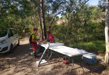 Tocht Mountainbike Les Adrets-de-l'Estérel - les adrets 2019 - Photo