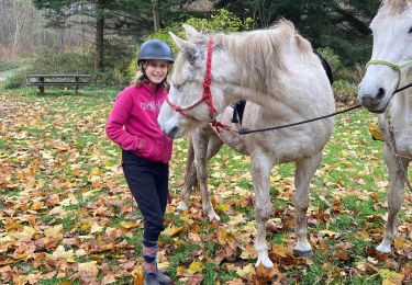 Tour Reiten Saint-Martin - Eloise les prairies repas bonne fontaine  - Photo