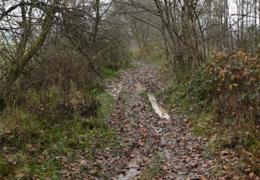 Trail Walking Sprimont - Sendrogne-Cornémont-Blindef - Photo