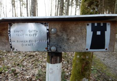 Trail On foot Murten - Murten/Station - Salvenach - Photo