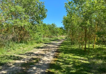 Tocht Stappen Torreilles - Boulistes Cave Bourdi Moulin - Photo