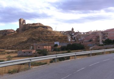 Excursión A pie Sarroca de Lleida - Els plans de Sarroca de Lleida - Photo