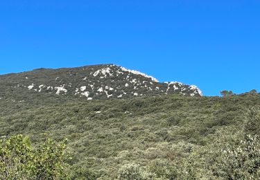 Tocht Stappen Saint-Jean-de-Cuculles - Saint jean de Cuculles - Photo