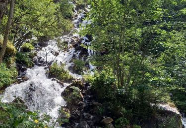 Trail Walking Les Deux Alpes - Lac Lauvitel depuis Venosc - Photo