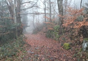 Randonnée Marche Saint-Paul-en-Jarez - 42-croix-montvieux-12km-410m - Photo