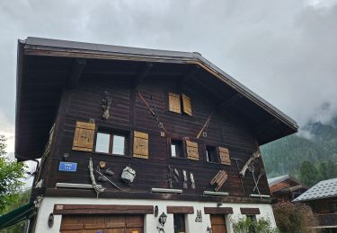 Tocht Stappen Chamonix-Mont-Blanc - J8 - Cascade du Dard - Photo