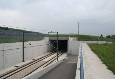 Percorso A piedi Hilpoltstein - Panoramaweg - Photo