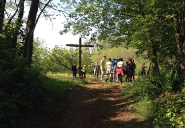 Tour Zu Fuß Roncà - B - Photo