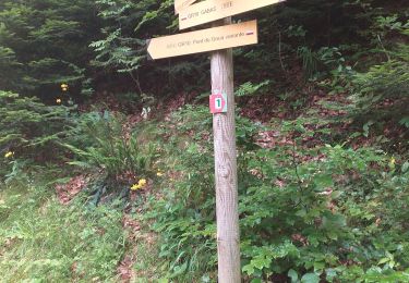 Trail Walking Laruns - gr10de gabas à avant cezy - Photo