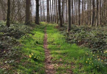 Trail Nordic walking Ham-sur-Heure-Nalinnes - Fontenelle, tordoir, gare hsh - Photo