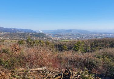 Randonnée Marche Le Teil - La Rouviere : Mont-Rosier 9 km. - Photo