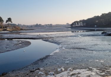 Tocht Stappen Baden - Arradon port blanc 2 mars 2023 CA - Photo