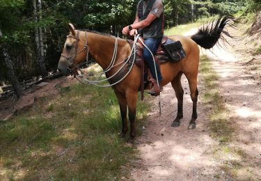Trail Horseback riding Métairies-Saint-Quirin - rond pré rocher de calice  - Photo