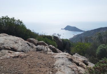 Tour Wandern Ramatuelle - Cap Taillat - Photo