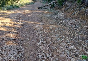 Trail Walking Saint-Raphaël - balisage - Photo