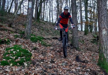 Tour Mountainbike Neufmanil - 20191122 vttae Focus départ Neuneu casse derailleur - Photo