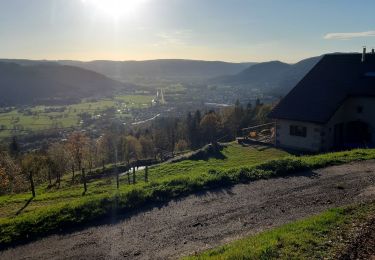 Tour Wandern Le Syndicat - Chèvre roche - Photo