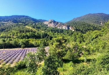 Randonnée Marche Teyssières - Teyssieres Cougoir 12km - Photo