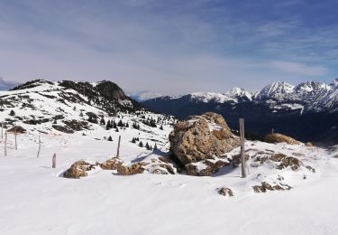 Excursión Senderismo Theys - Pipay-Grand Rocher  - Photo