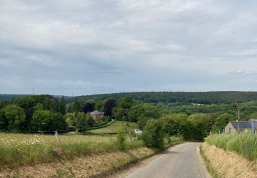 Trail Walking Esneux - Fontin tour 2 - Photo