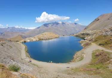 Trail Mountain bike Les Deux Alpes - 2 alpes - Photo