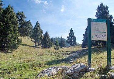 Randonnée Marche Die - Le Glandasse - Col des Bachassons par Valcroissant - Photo