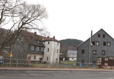 Tour Zu Fuß Schleusegrund - Steinbach-Langenbach-Waldau - Photo