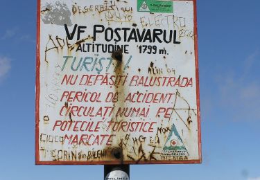 Percorso A piedi Brașov - Poiana Brașov - Prăpastia Lupului - Vf. Postăvaru - Photo