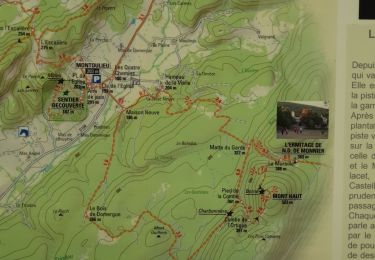 Trail Hunting Montoulieu - chasse la flaque  - Photo
