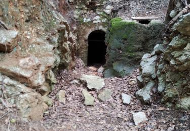 Tocht Stappen Le Revest-les-Eaux - Grotte Gaspard  - Photo