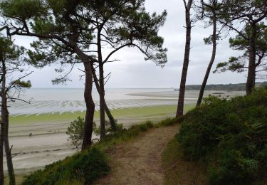 Randonnée Marche Hillion - Anse de Morieux (Hillion) - Photo