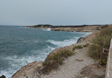 Trail Walking Sausset-les-Pins - la couronne sausset - Photo