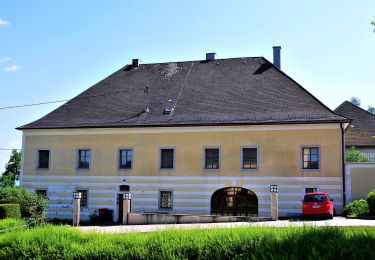 Tour Zu Fuß Aichkirchen - Aichkirchen Runde - Photo