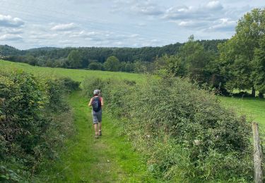 Tocht Stappen Jalhay - Royompré - Photo